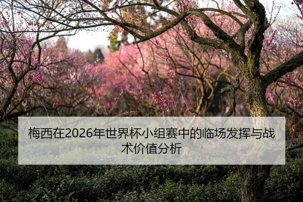 梅西在2026年世界杯小组赛中的临场发挥与战术价值分析