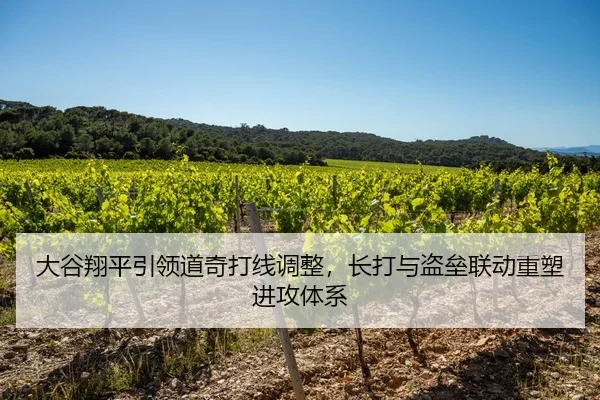 大谷翔平引领道奇打线调整，长打与盗垒联动重塑进攻体系