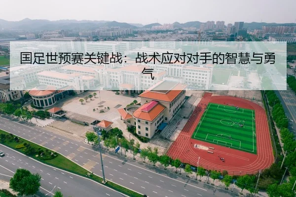 国足世预赛关键战：战术应对对手的智慧与勇气