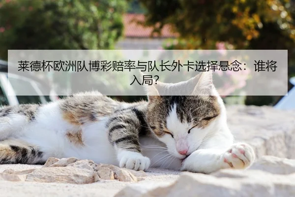 莱德杯欧洲队博彩赔率与队长外卡选择悬念：谁将入局？