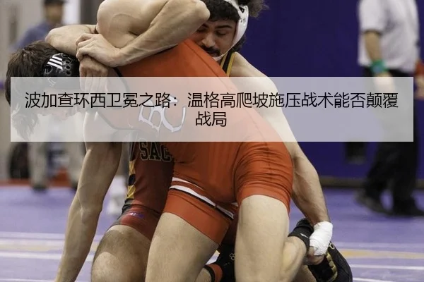 bo-jia-cha-huan-xi-wei-mian-zhi-lu-wen-ge-gao-pa-po-shi-ya-zhan-shu-neng-fou-dian-fu-zhan-ju-2-177.jpg