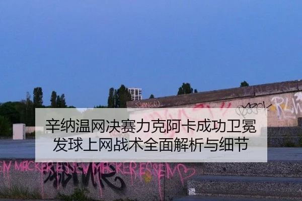 辛纳温网决赛力克阿卡成功卫冕 发球上网战术全面解析与细节