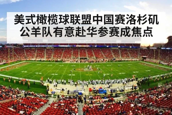 NFL stadium crowd