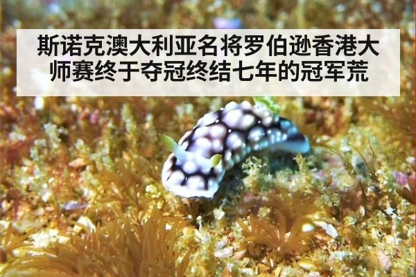 斯诺克澳大利亚名将罗伯逊香港大师赛终于夺冠终结七年的冠军荒