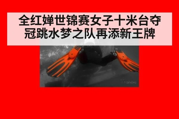 全红婵世锦赛女子十米台夺冠跳水梦之队再添新王牌
