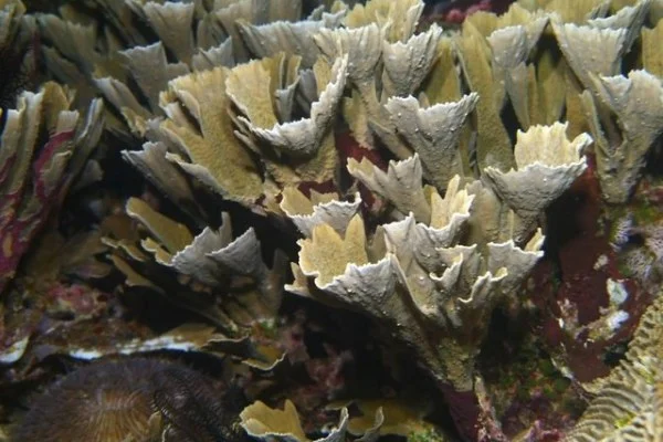 成都公开赛商竣程主场作战遇考验 硬地状态波动与发球端调整成为关键